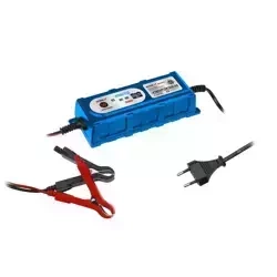 Rectifier 1A/3,8A , 6V/12V Automatic, 4-120Ah DEPM005