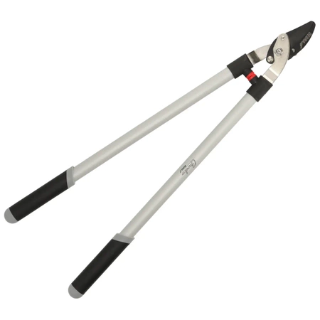 Škerveida grieznes zariem, tips BY-PASS