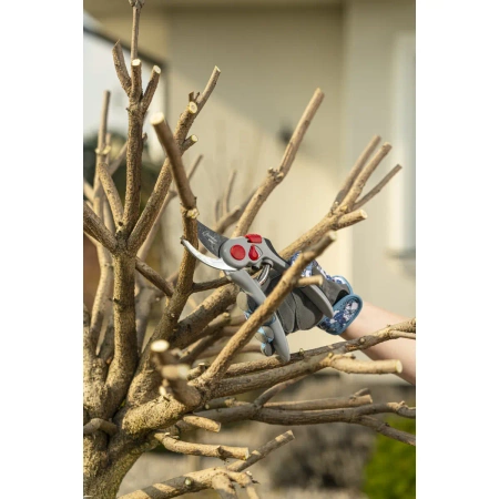 Adjustable pruning shears Garden DEDRA 80A004, for live branches, cutting thickness 15-25 mm