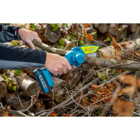 Garden set in a suitcase: mini chainsaw, 2Ah battery and charger DEDRA DED7030A11 - DED6984+DED7032+DED7038 case