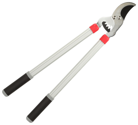 Aed DEDRA 80A021 BY PASS oksakäär, hammasajamiga