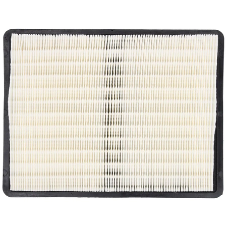 Filtru HEPA pentru DED6607